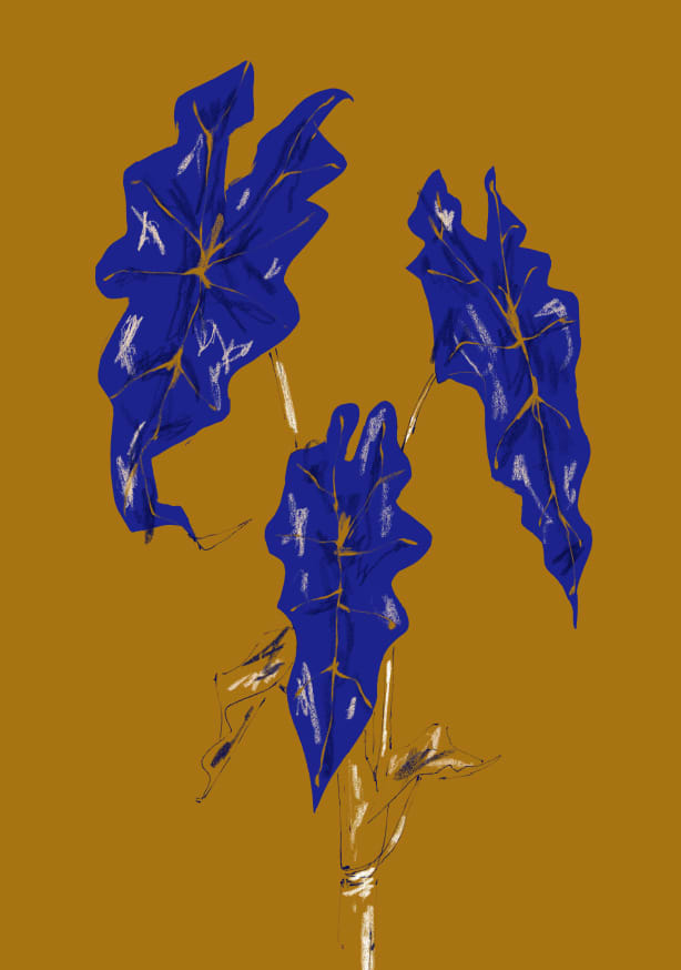 Quadro Alocasia Polly Mustard By Francesco Gulina