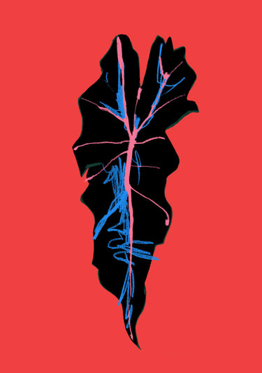 Quadro Alocasia Polly Red By Francesco Gulina