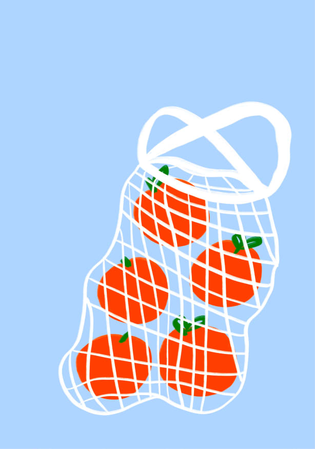 Quadro Bag of Oranges