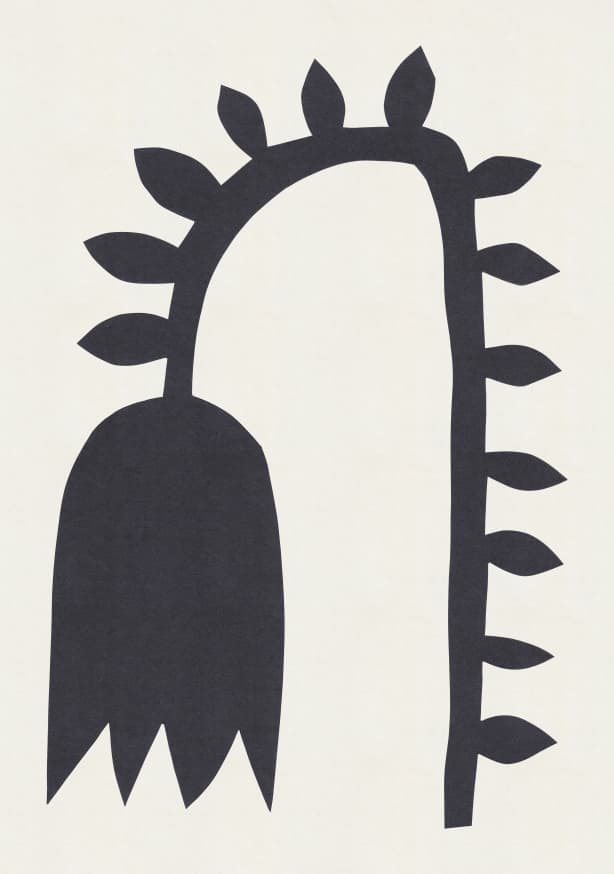Quadro Black Tulip #1