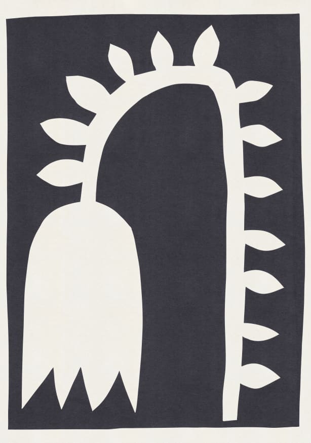 Quadro Black Tulip #2
