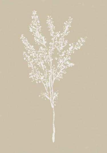 Quadro Dried Flowers #1