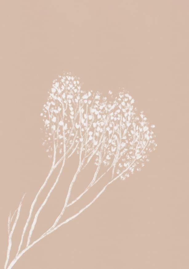 Quadro Dried Flowers #2