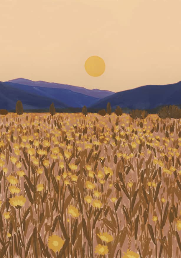 Quadro Indian Summer