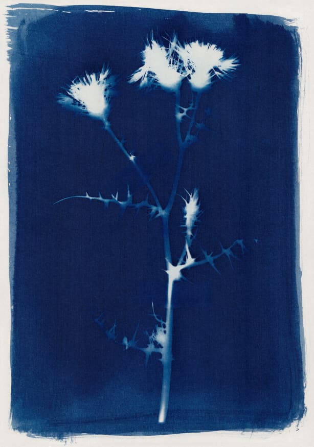 Quadro Magic in the Ordinary #2