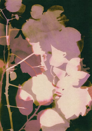 Quadro Magic in the Ordinary #6