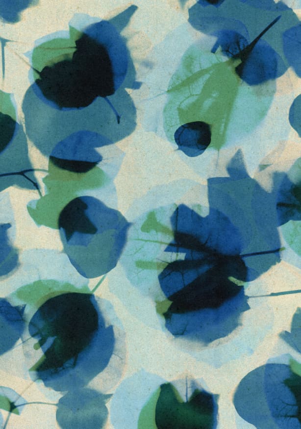 Quadro Magic in the Ordinary #7