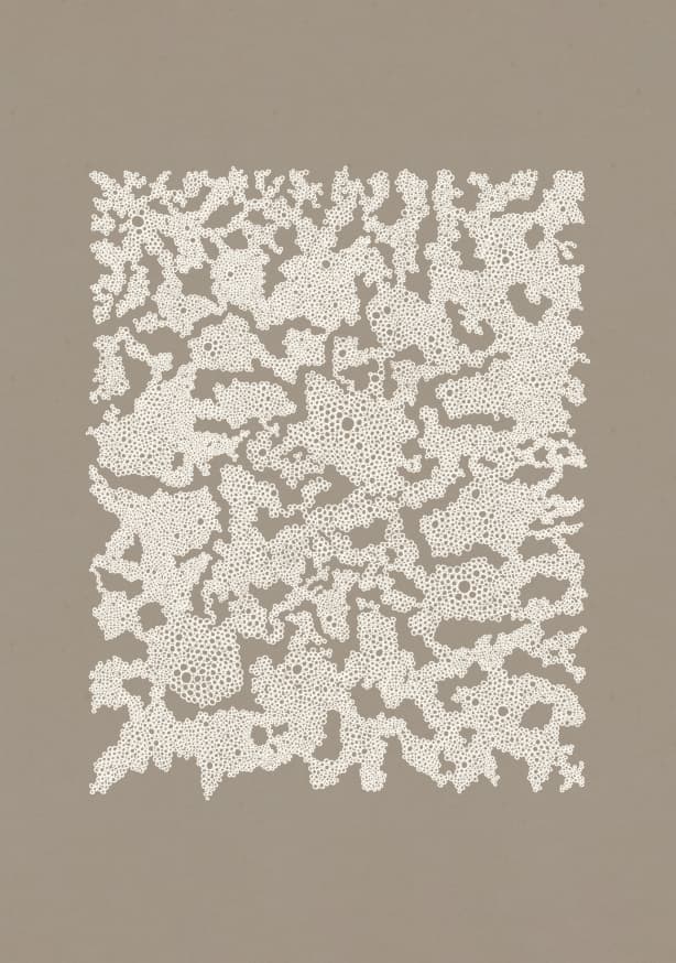 Quadro Organic Lace