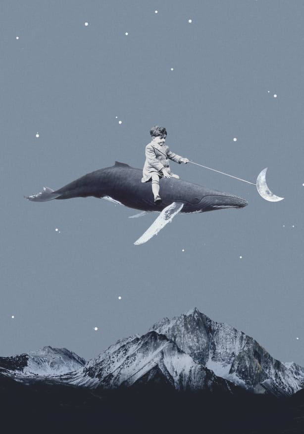 Quadro Aim For the Moon - Obrah | Quadros e Posters para Transformar a Parede