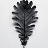 Quadro Autumn Treasures Black Oak Leaf - Obrah | Quadros e Posters para Transformar a Parede