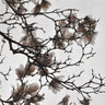 Quadro Beige Sand Magnolia Dream - Obrah | Quadros e Posters para Transformar a Parede