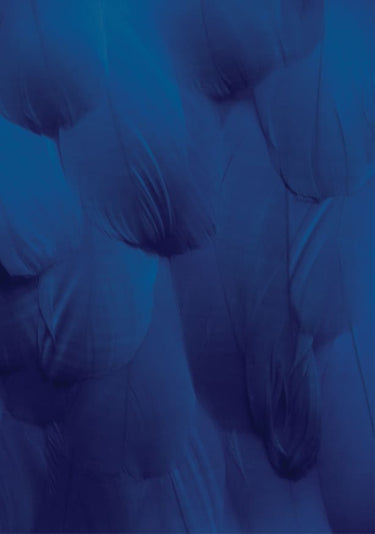 Quadro Be Soft But Strong Classic Blue - Obrah | Quadros e Posters para Transformar a Parede