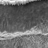 Quadro Black and White Beach - Obrah | Quadros e Posters para Transformar a Parede