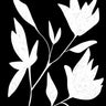 Quadro Black and White Botanic - Obrah | Quadros e Posters para Transformar a Parede