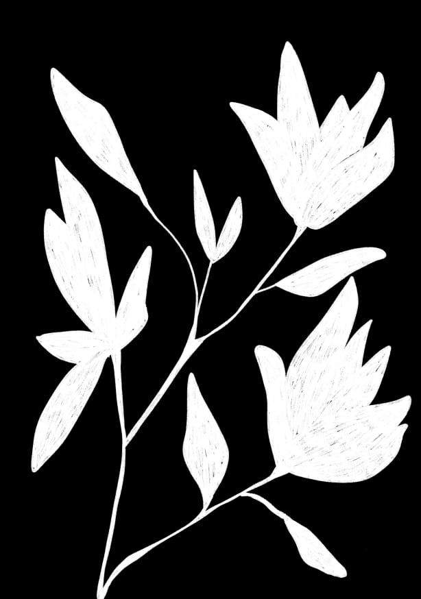 Quadro Black and White Botanic - Obrah | Quadros e Posters para Transformar a Parede
