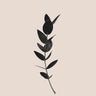 Quadro Black Eucalyptus - Obrah | Quadros e Posters para Transformar a Parede