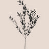 Quadro Black Eucalyptus 2 - Obrah | Quadros e Posters para Transformar a Parede