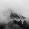 Quadro Black Foggy Forests - Obrah | Quadros e Posters para Transformar a Parede