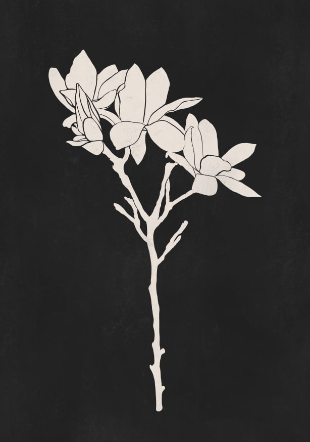 Quadro Black Magnolia