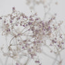 Quadro Blossoms in the Field - Obrah | Quadros e Posters para Transformar a Parede