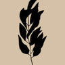 Quadro Botanical 04 - Obrah | Quadros e Posters para Transformar a Parede