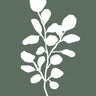 Quadro Botanical 05 - Obrah | Quadros e Posters para Transformar a Parede