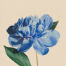 Quadro Botanic Color 02 Aged Paper - Obrah | Quadros e Posters para Transformar a Parede