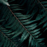 Quadro Botanic Life - Obrah | Quadros e Posters para Transformar a Parede