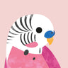 Quadro Budgie - Obrah | Quadros e Posters para Transformar a Parede