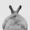 Quadro Bunny - Obrah | Quadros e Posters para Transformar a Parede