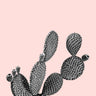 Quadro Cactus Love - Obrah | Quadros e Posters para Transformar a Parede