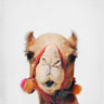 Quadro Camel - Obrah | Quadros e Posters para Transformar a Parede