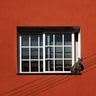 Quadro Cat in a Window By Inge Schuster - Obrah | Quadros e Posters para Transformar a Parede