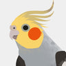 Quadro Cockatiel Grey - Obrah | Quadros e Posters para Transformar a Parede