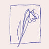 Quadro Crocus - Obrah | Quadros e Posters para Transformar a Parede