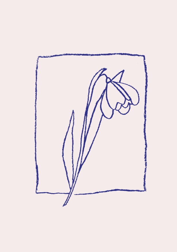 Quadro Crocus