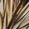 Quadro Dead Palm - Obrah | Quadros e Posters para Transformar a Parede
