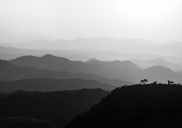 Quadro Sunset in Africa