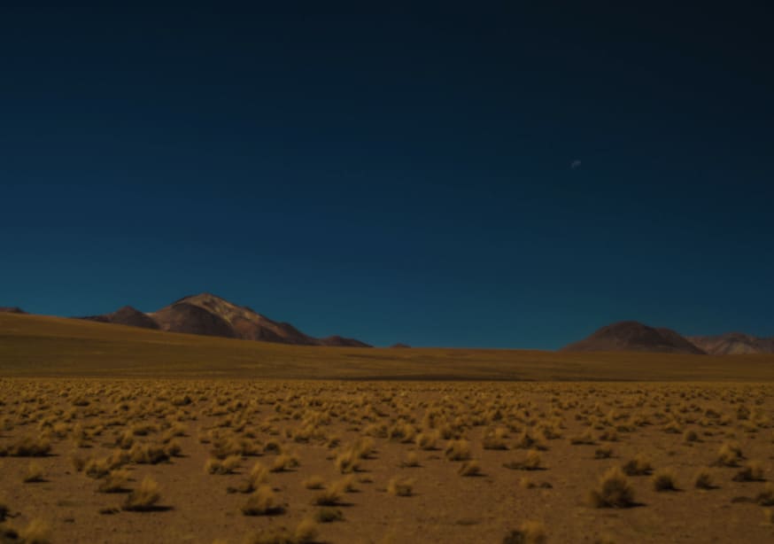Quadro Deserto