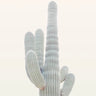 Quadro Desert Cactus (1) - Obrah | Quadros e Posters para Transformar a Parede
