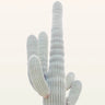 Quadro Desert Cactus (1) - Obrah | Quadros e Posters para Transformar a Parede