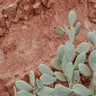 Quadro Desert Mood - Obrah | Quadros e Posters para Transformar a Parede