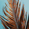 Quadro Dry Leaves - Obrah | Quadros e Posters para Transformar a Parede
