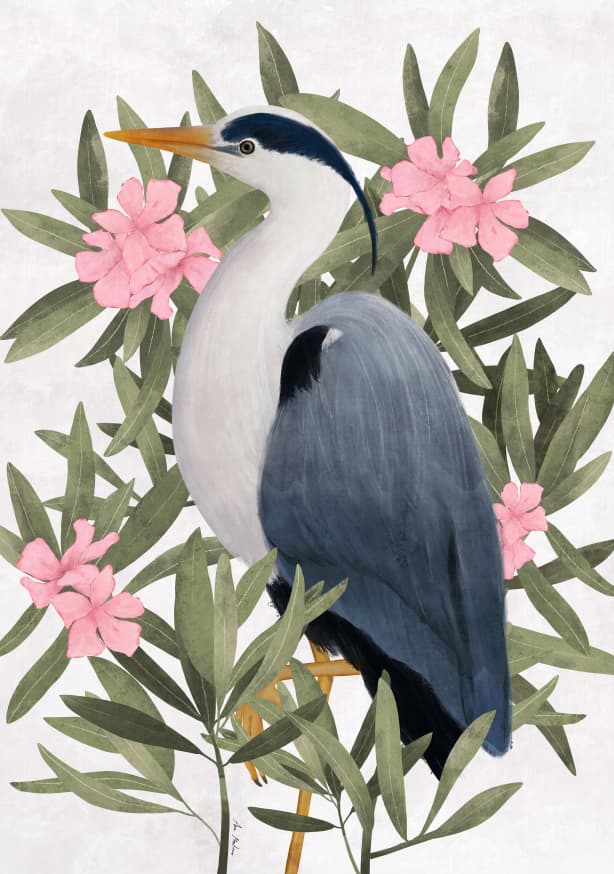 Quadro Gray Heron - Obrah | Quadros e Posters para Transformar a Parede