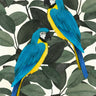 Quadro Parrots - Obrah | Quadros e Posters para Transformar a Parede
