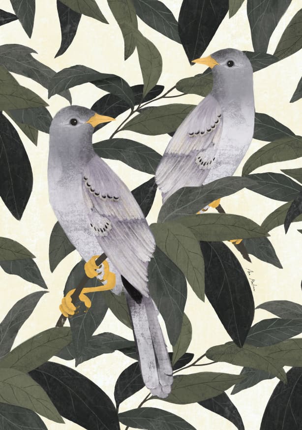 Quadro Pigeons - Obrah | Quadros e Posters para Transformar a Parede