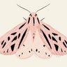Quadro Pink Moth - Obrah | Quadros e Posters para Transformar a Parede