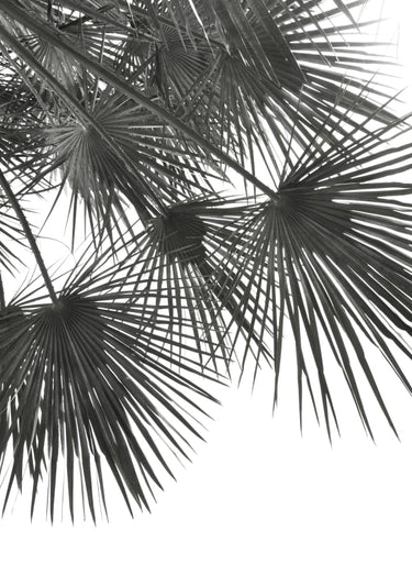 Quadro Endless Summer - Wind - Obrah | Quadros e Posters para Transformar a Parede
