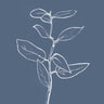 Quadro Eucalyptus Sapling - Obrah | Quadros e Posters para Transformar a Parede