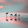 Quadro Family Flamingos by Natalia - Obrah | Quadros e Posters para Transformar a Parede